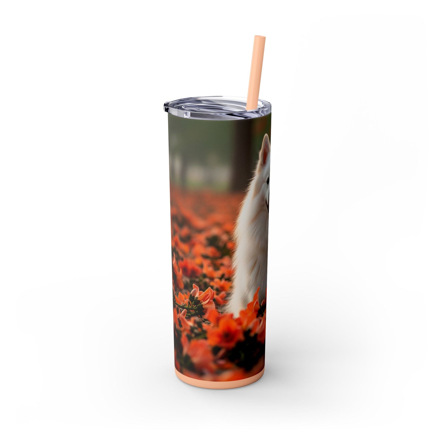 Indian Spitz Tumbler with Straw, 20oz