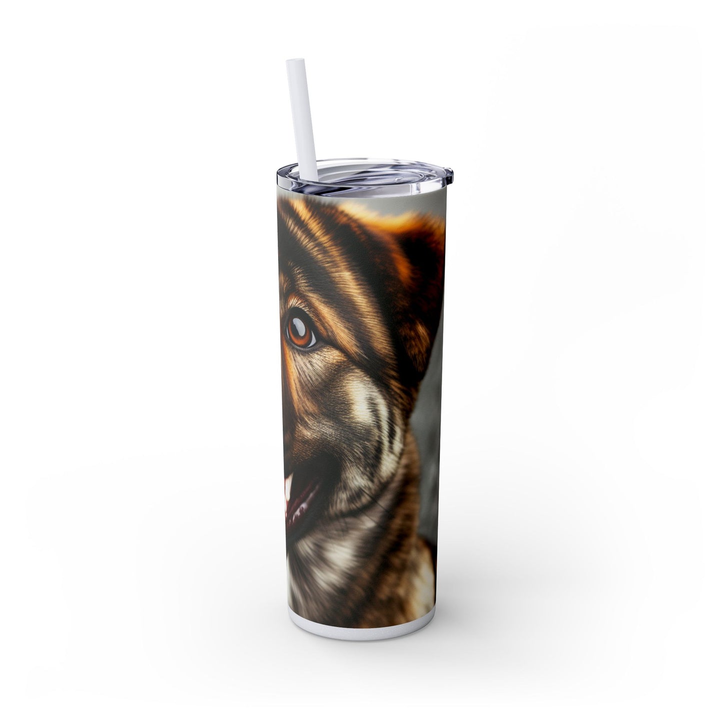 Kai Ken Tumbler with Straw, 20oz