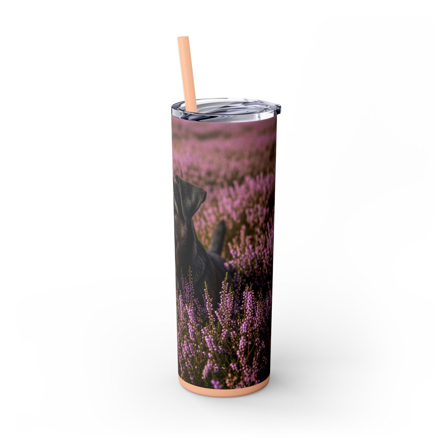 Glen of Imaal Terrier Skinny Tumbler with Straw, 20oz