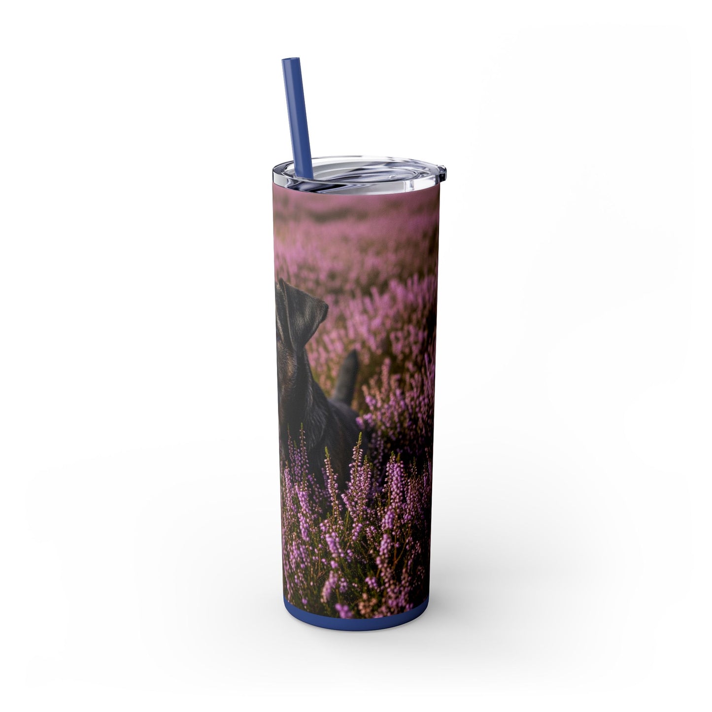Glen of Imaal Terrier Skinny Tumbler with Straw, 20oz