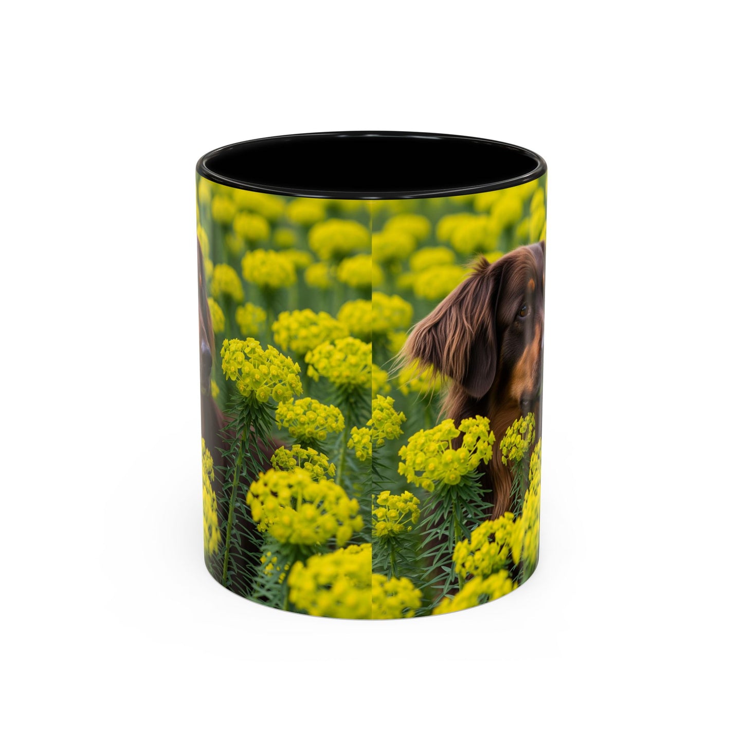 Hovawart Accent Coffee Mug - Perfect Gift for Dog Lovers
