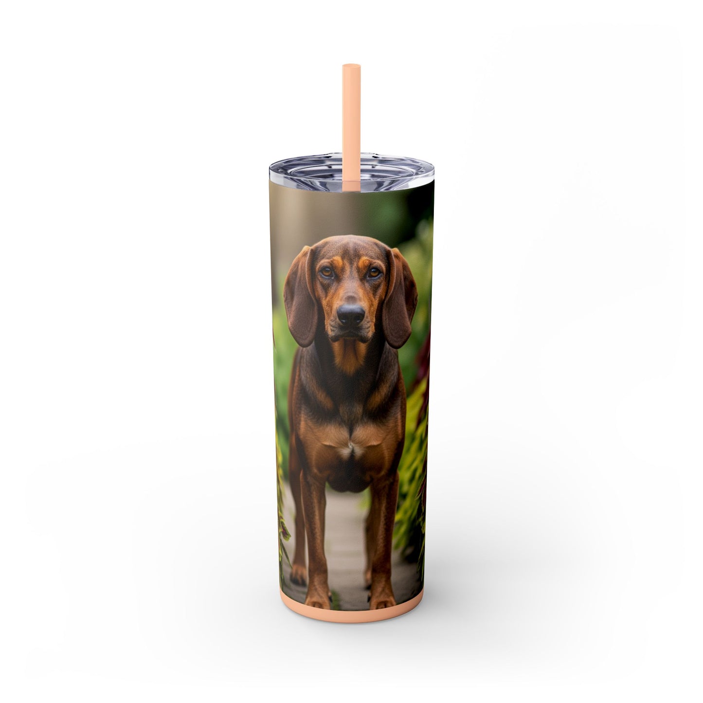 Hamiltonstovare Tumbler with Straw, 20oz