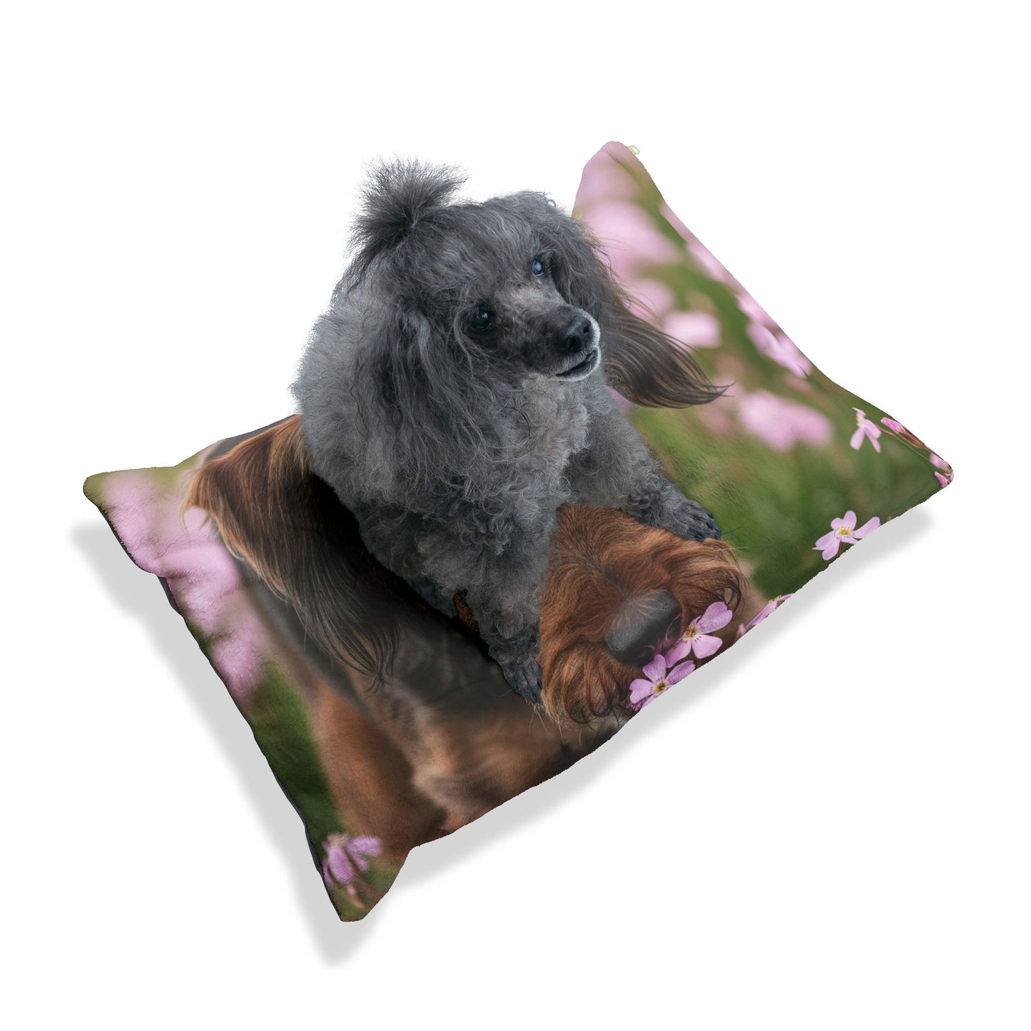 Cesky Terrier Pet Bed