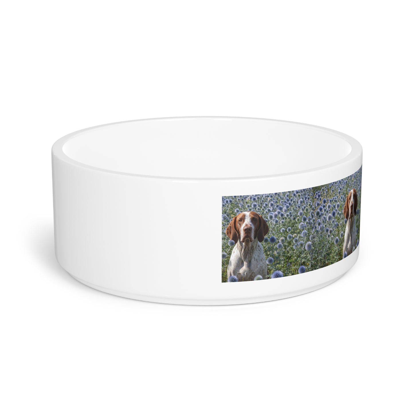 Braque Francais Pyrenean Pet Bowl