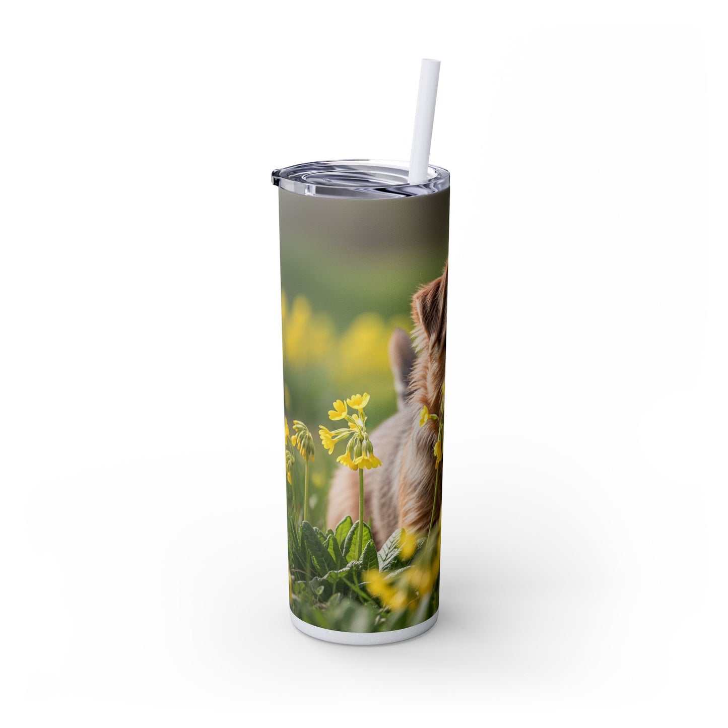 Norfolk Terrier Skinny Tumbler with Straw, 20oz