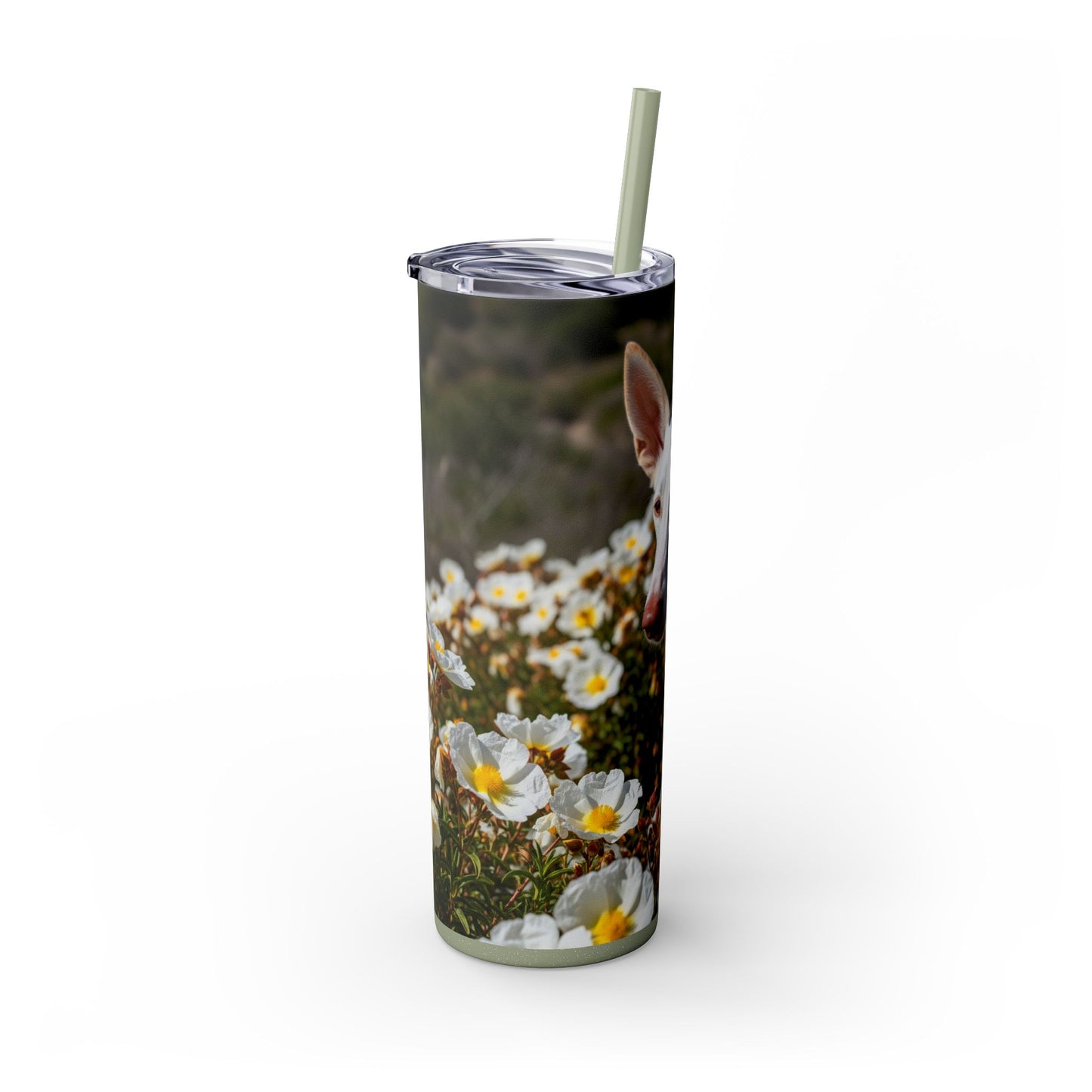 Ibizan Hound Tumbler with Straw, 20oz