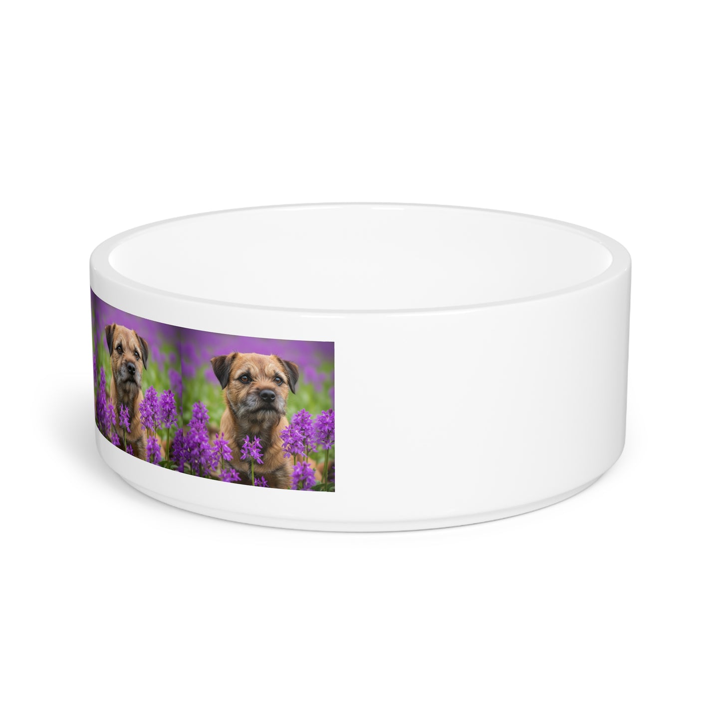 Border Terrier Pet Bowl