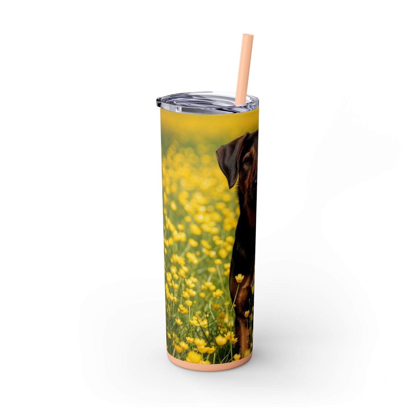Drever Tumbler with Straw, 20oz
