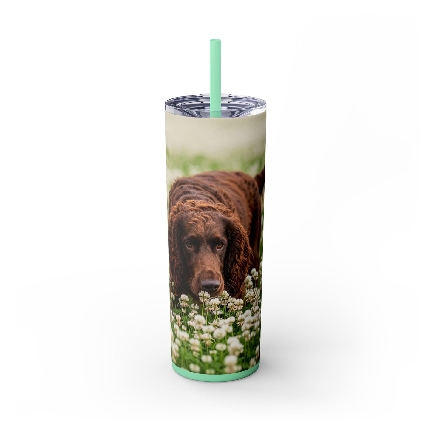 Irish Water Spaniel Tumbler with Straw, 20oz