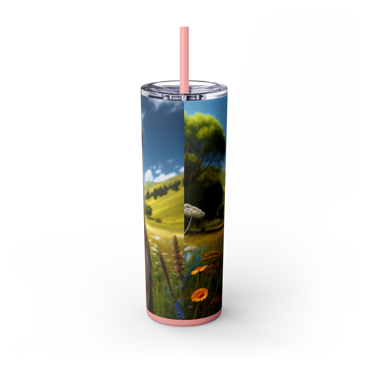 Bakharwal Tumbler with Straw, 20oz