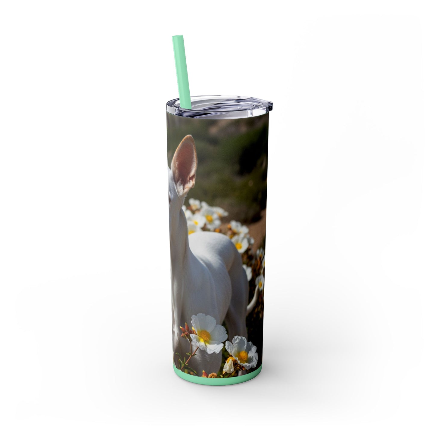 Ibizan Hound Tumbler with Straw, 20oz