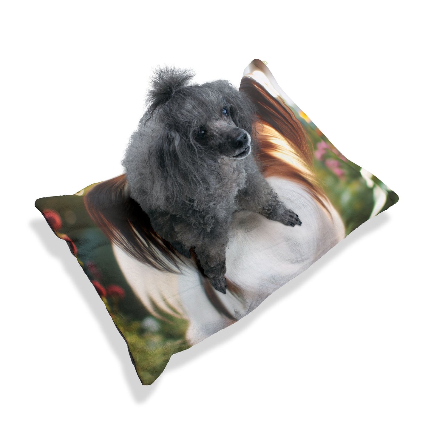Papillon Pet Bed