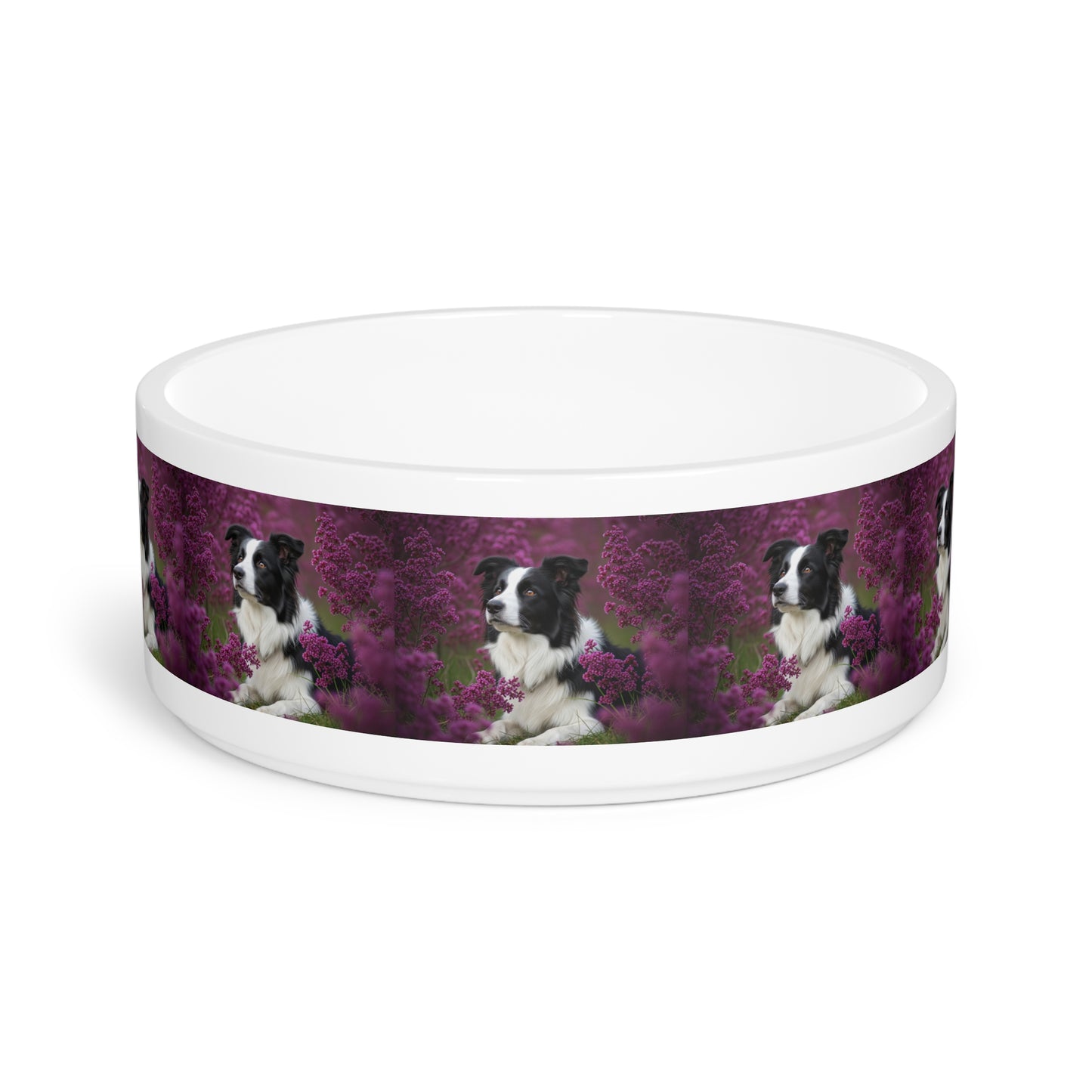 Border Collie Pet Bowl