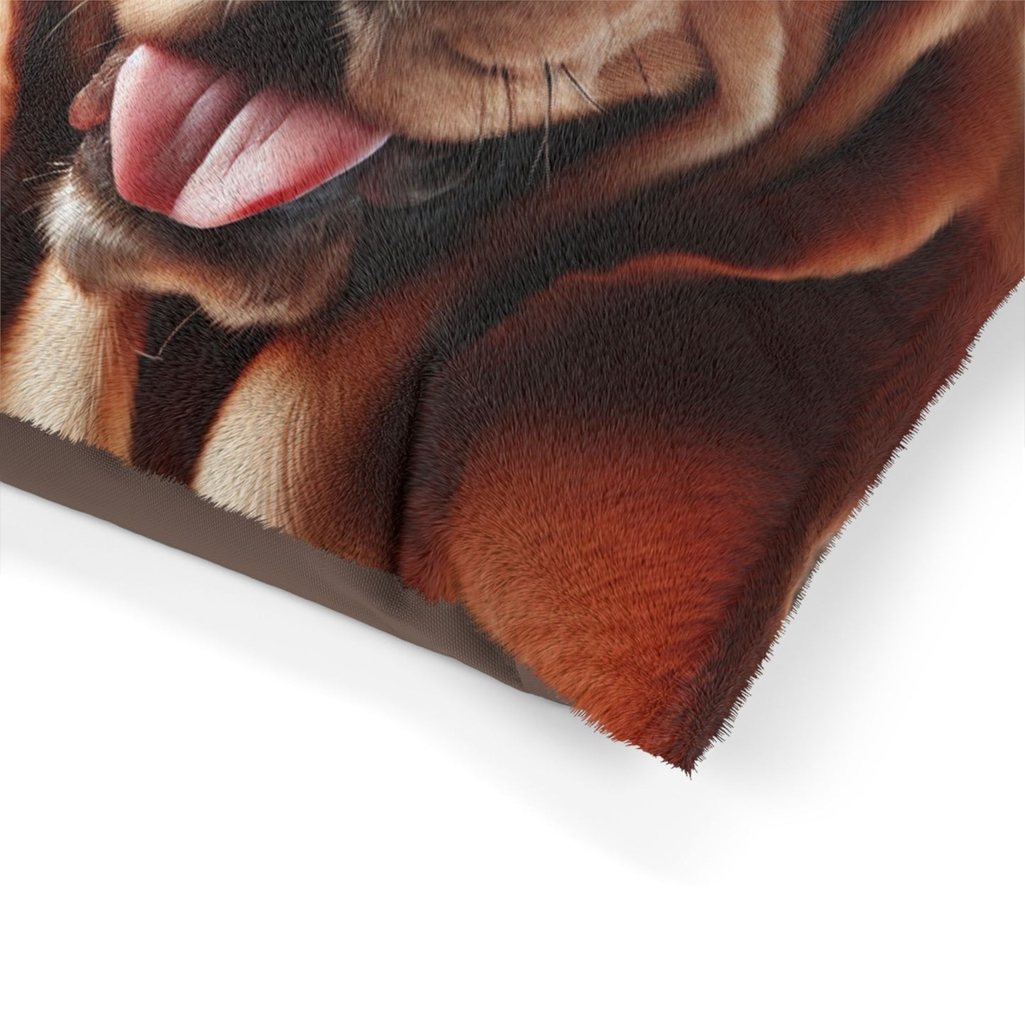 Basset Fauve de Bretagne Pet Bed