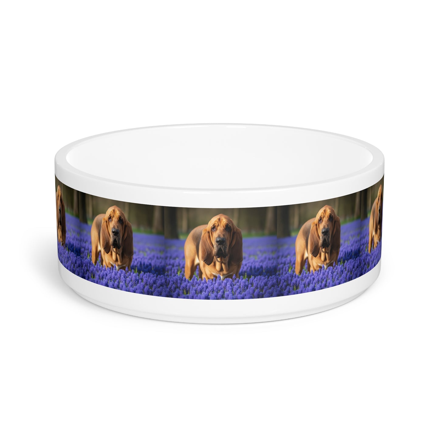 Bloodhound Pet Bowl