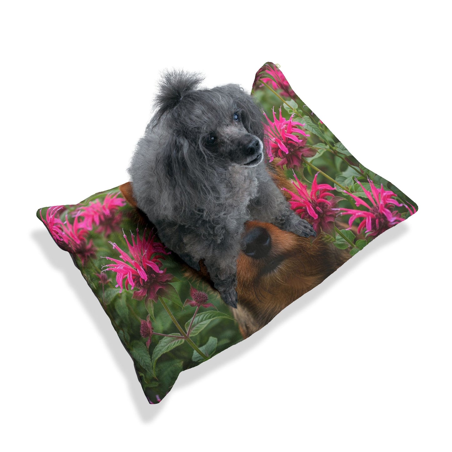 Norwich Terrier Pet Bed