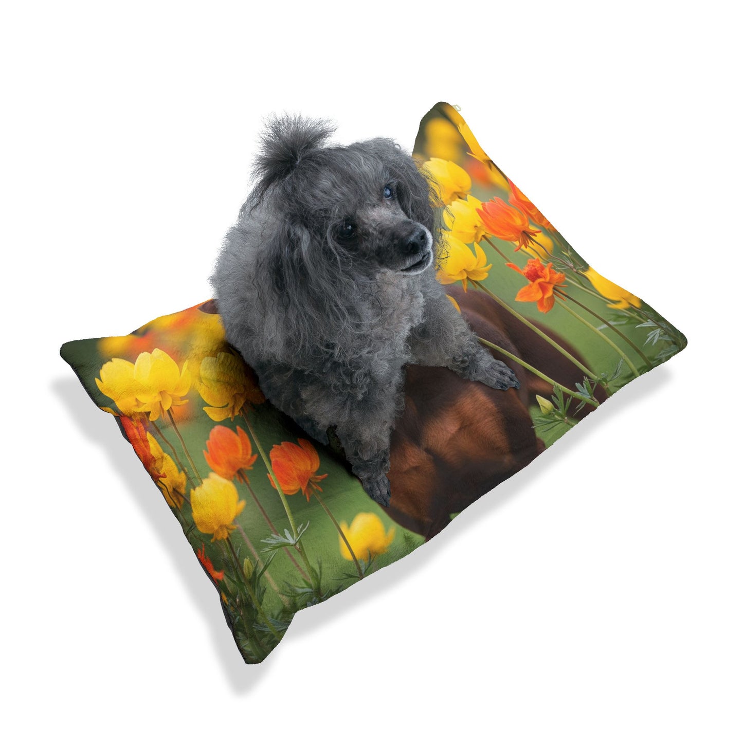 Miniature Pinscher Pet Bed