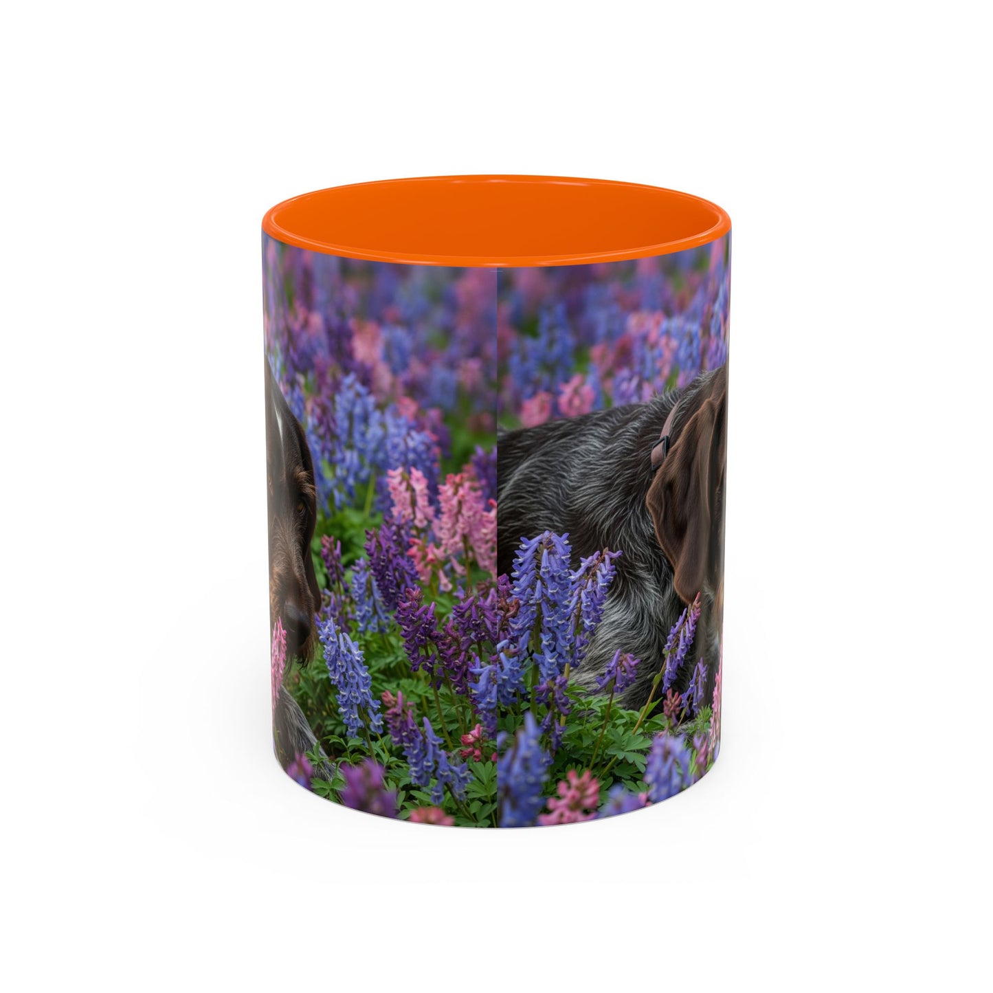 Wirehaired Slovakian Pointer Accent Coffee Mug - Perfect Gift for Dog Lovers