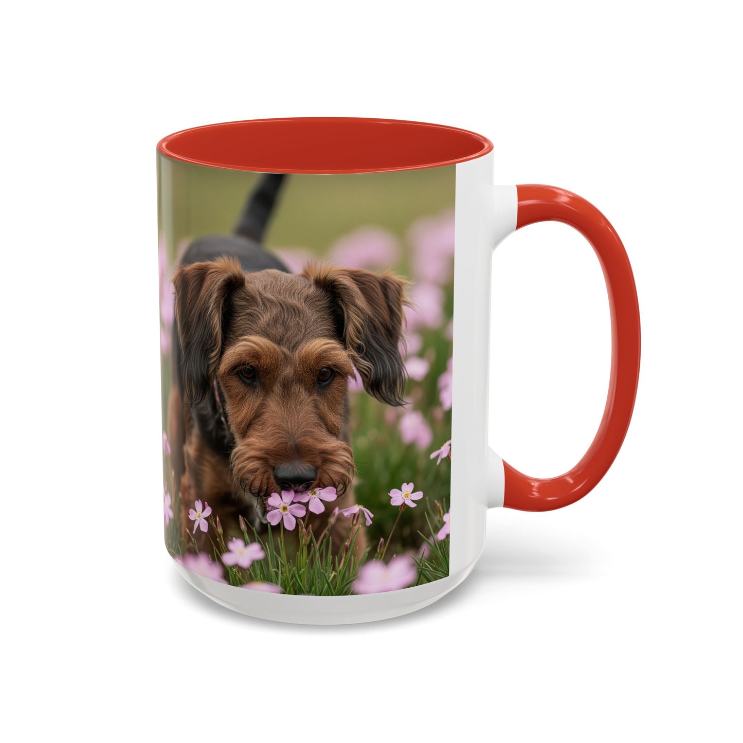 Cesky Terrier Accent Coffee Mug - Perfect Gift for Dog Lovers