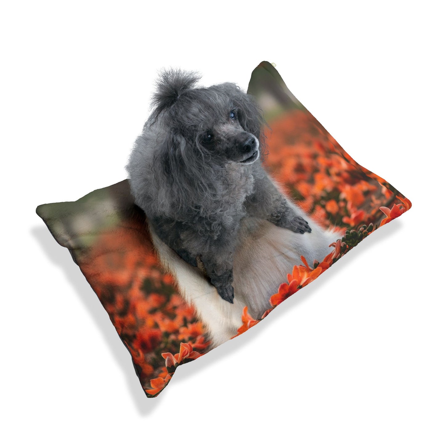 Indian Spitz Pet Bed