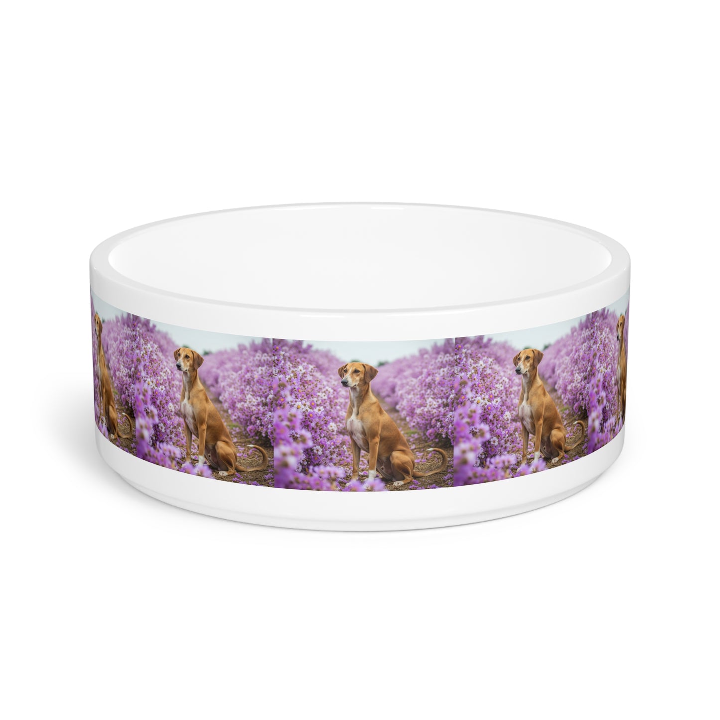 Banjara Hound Pet Bowl