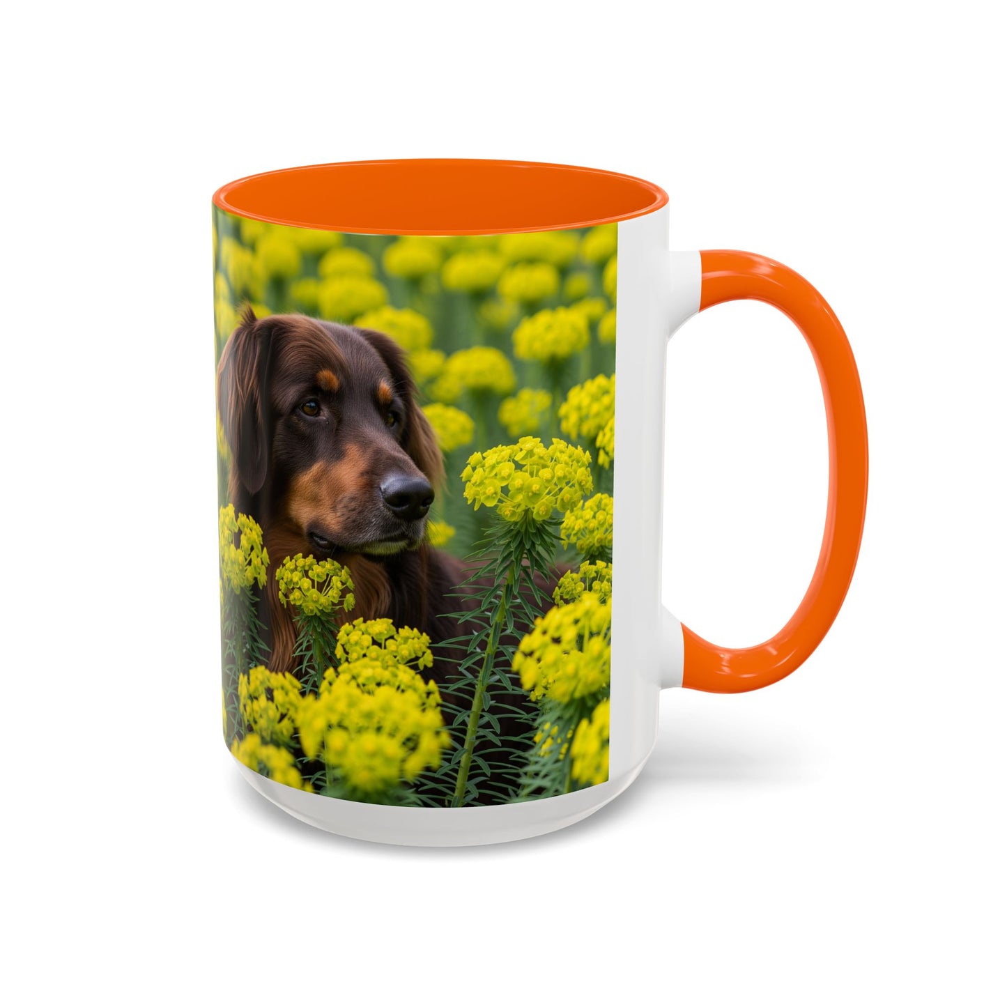 Hovawart Accent Coffee Mug - Perfect Gift for Dog Lovers
