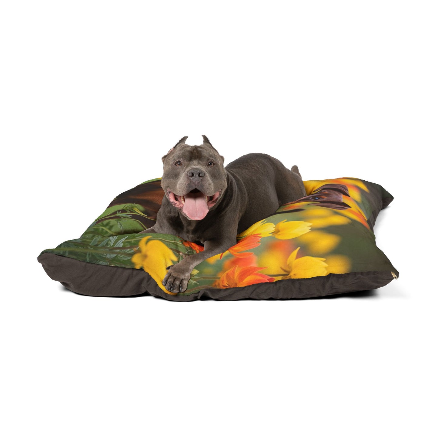 Miniature Pinscher Pet Bed