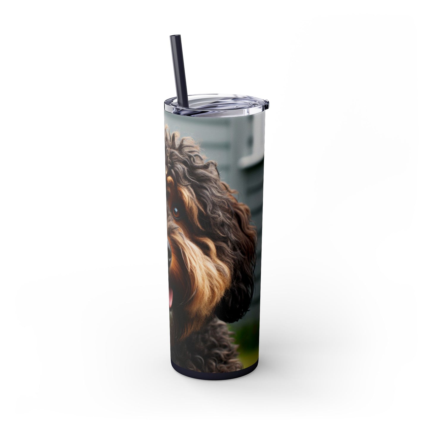 Barbet Tumbler with Straw, 20oz