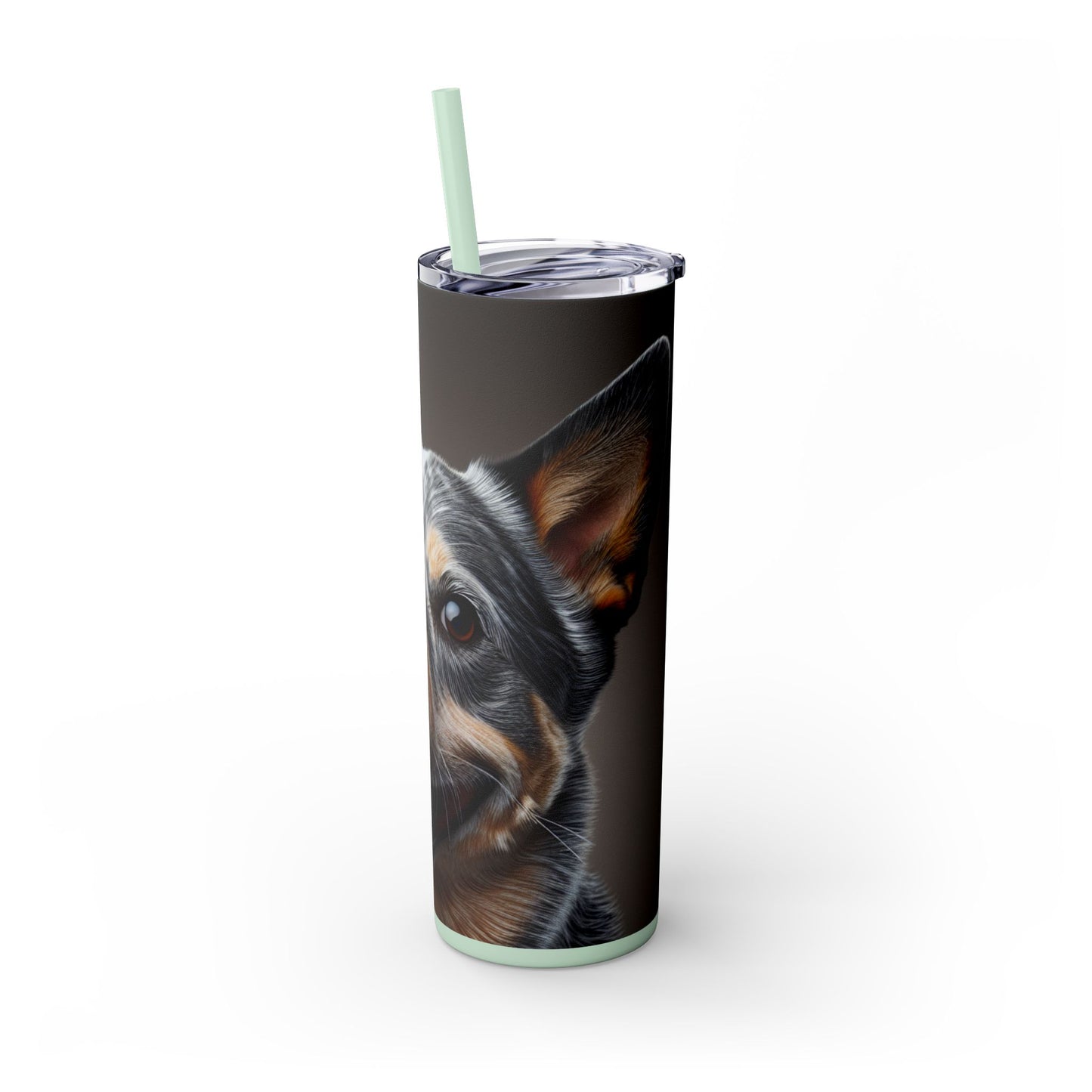 Australian Cattle Dog Tumbler with Straw, 20oz