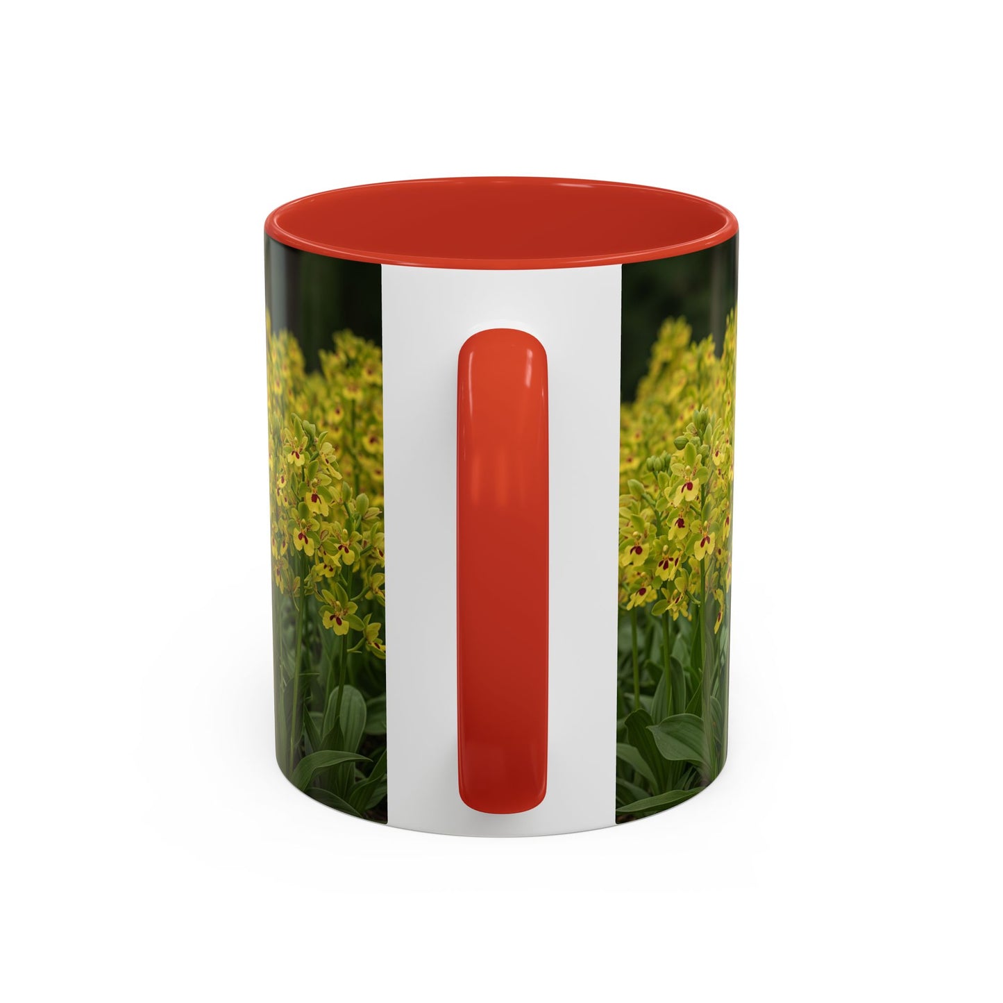 Basenji Accent Coffee Mug - Perfect Gift for Dog Lovers