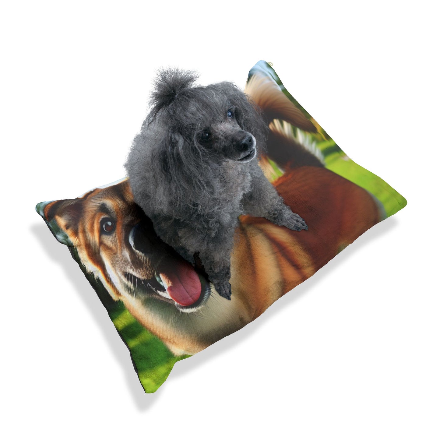 Chinook Pet Bed