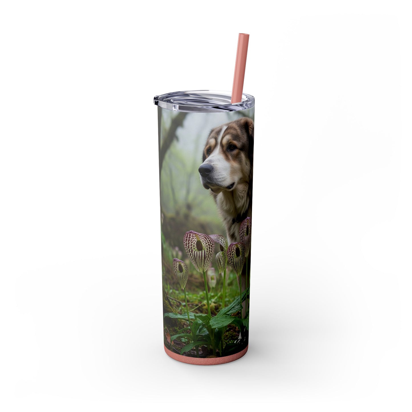 Bakharwal Tumbler with Straw, 20oz