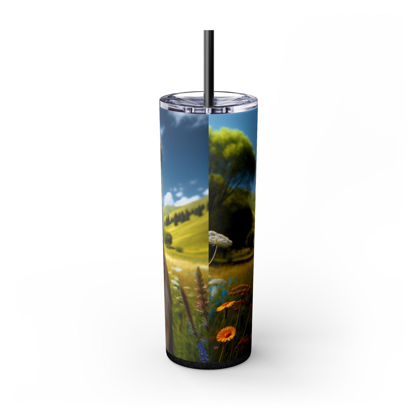 Bakharwal Tumbler with Straw, 20oz