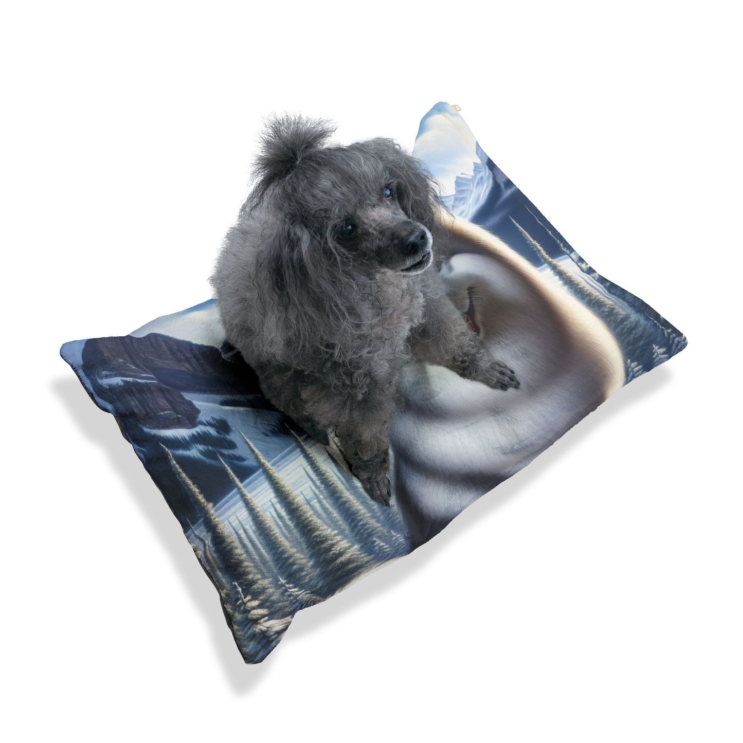 Canadian Eskimo Dog Pet Bed