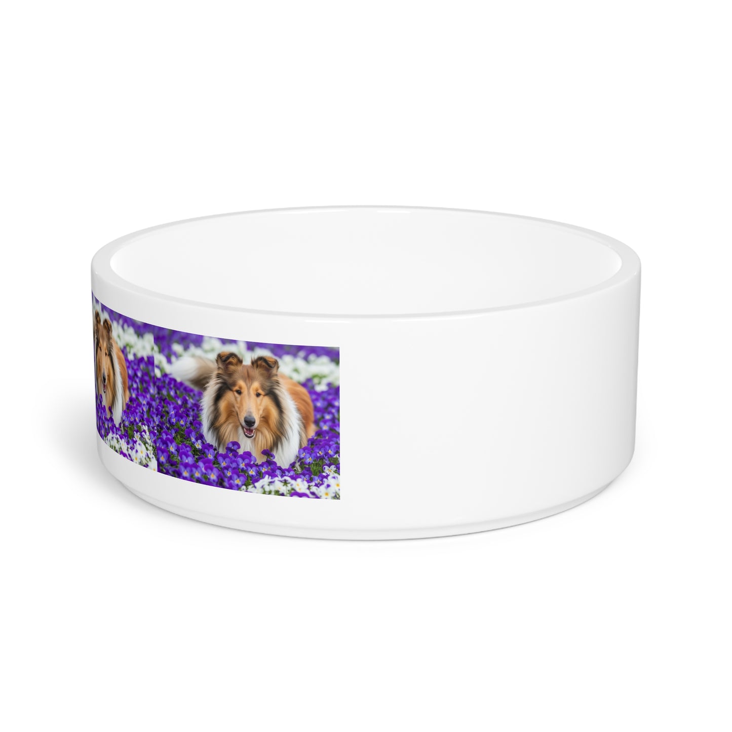 Collie Pet Bowl