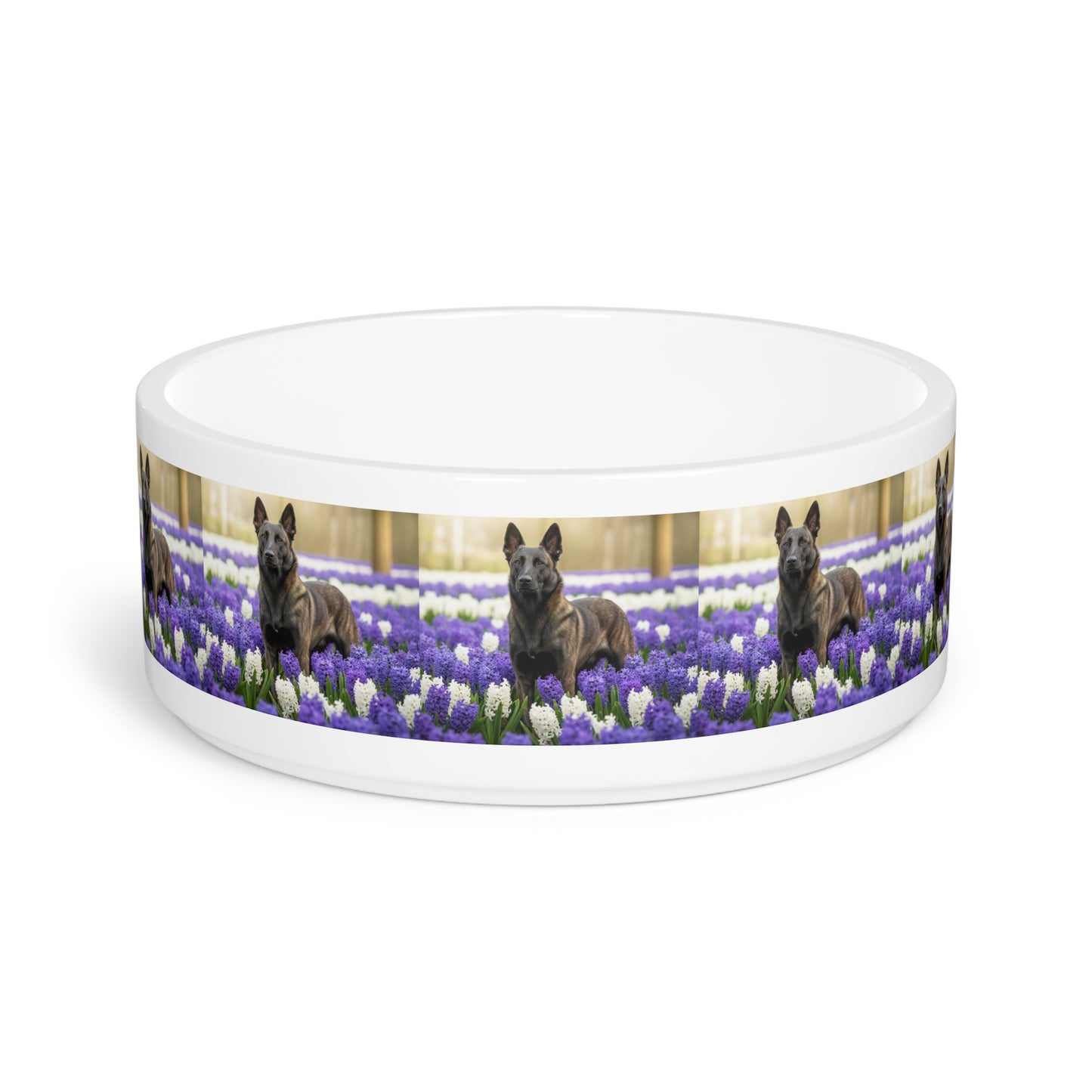 Dutch Shepherd Dog Pet Bowl