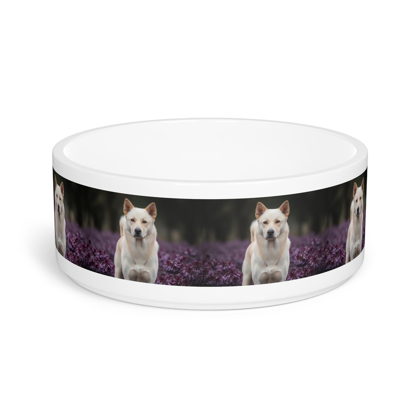 Thai Bangkaew Pet Bowl