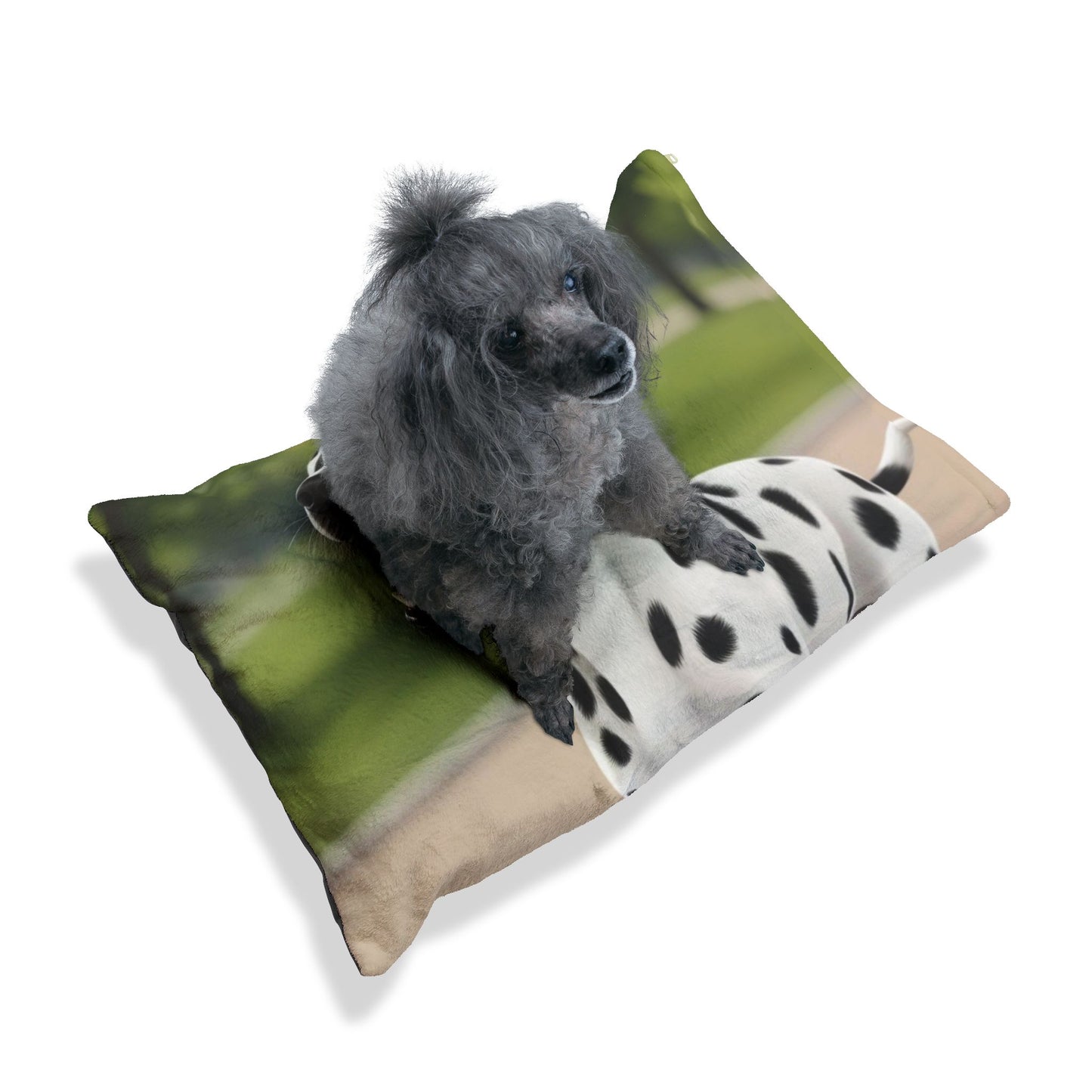 Dalmatian Pet Bed
