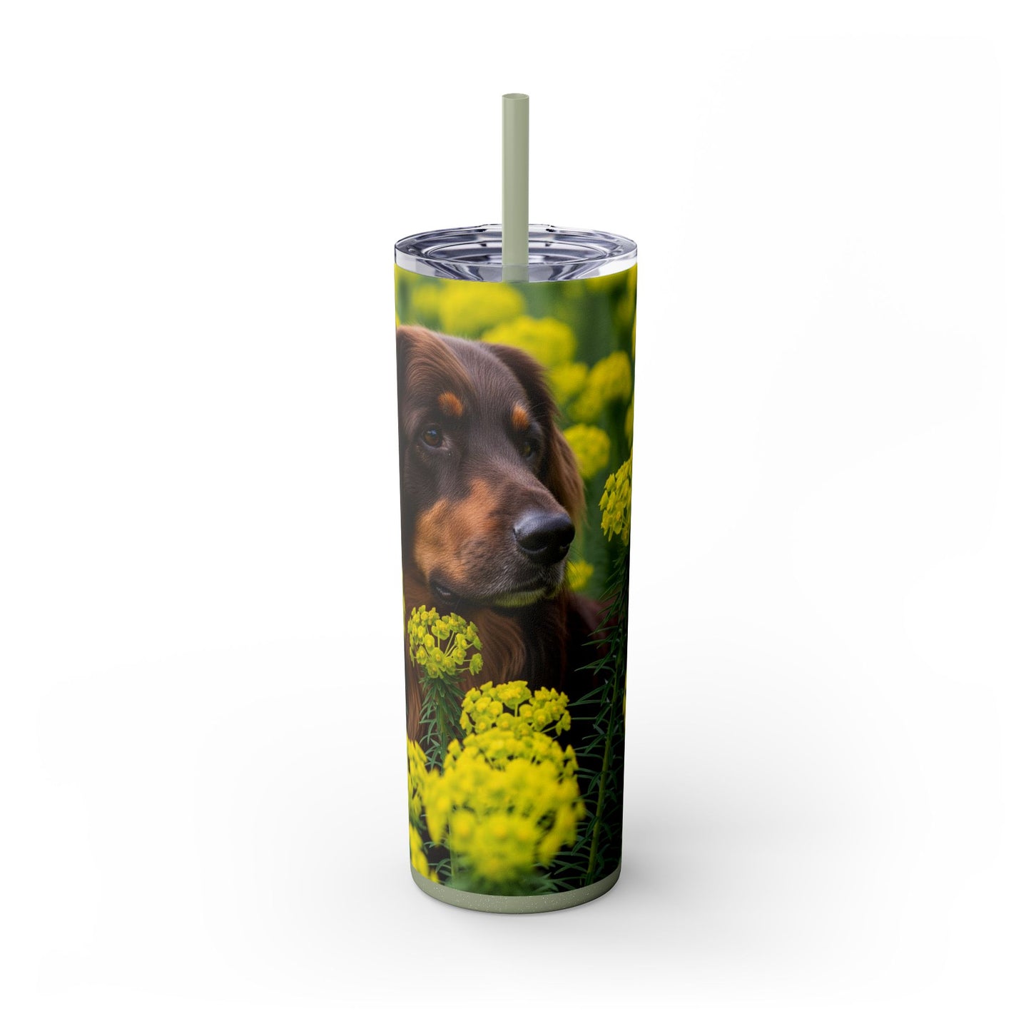 Hovawart Tumbler with Straw, 20oz