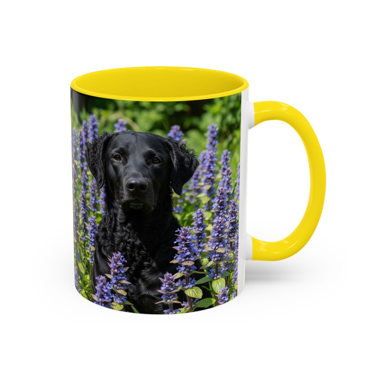 Curly Coated Retriever Accent Coffee Mug - Perfect Gift for Dog Lovers