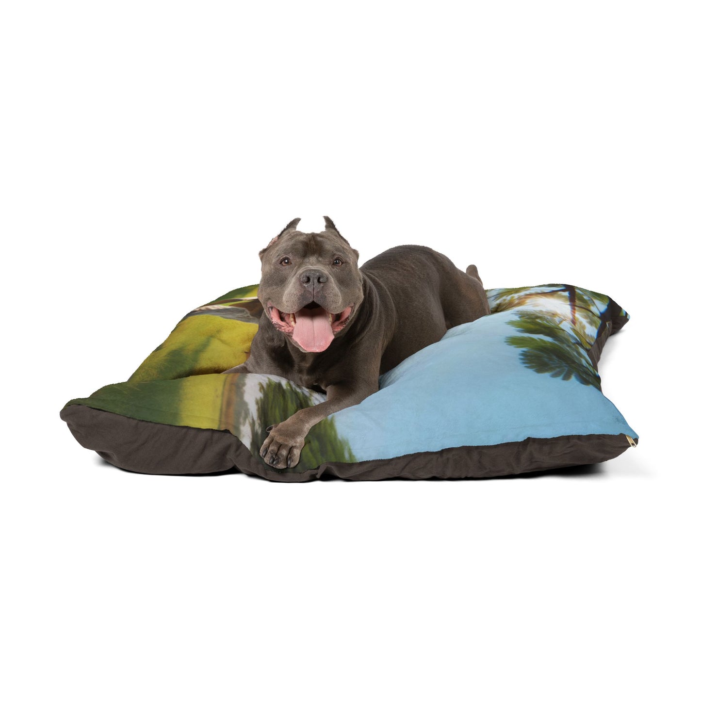 Indian Pariah Dog Pet Bed