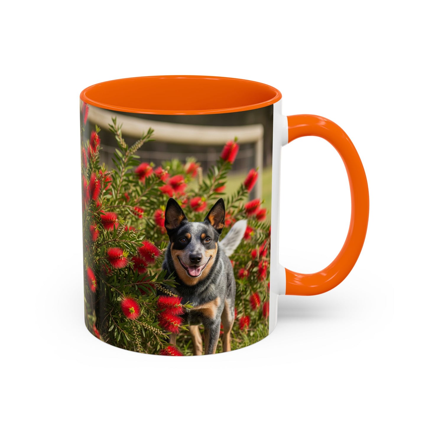 Australian Cattle Dog Accent Coffee Mug - Perfect Gift for Dog Lovers