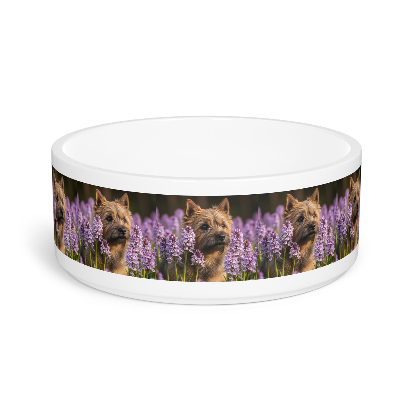 Cairn Terrier Pet Bowl