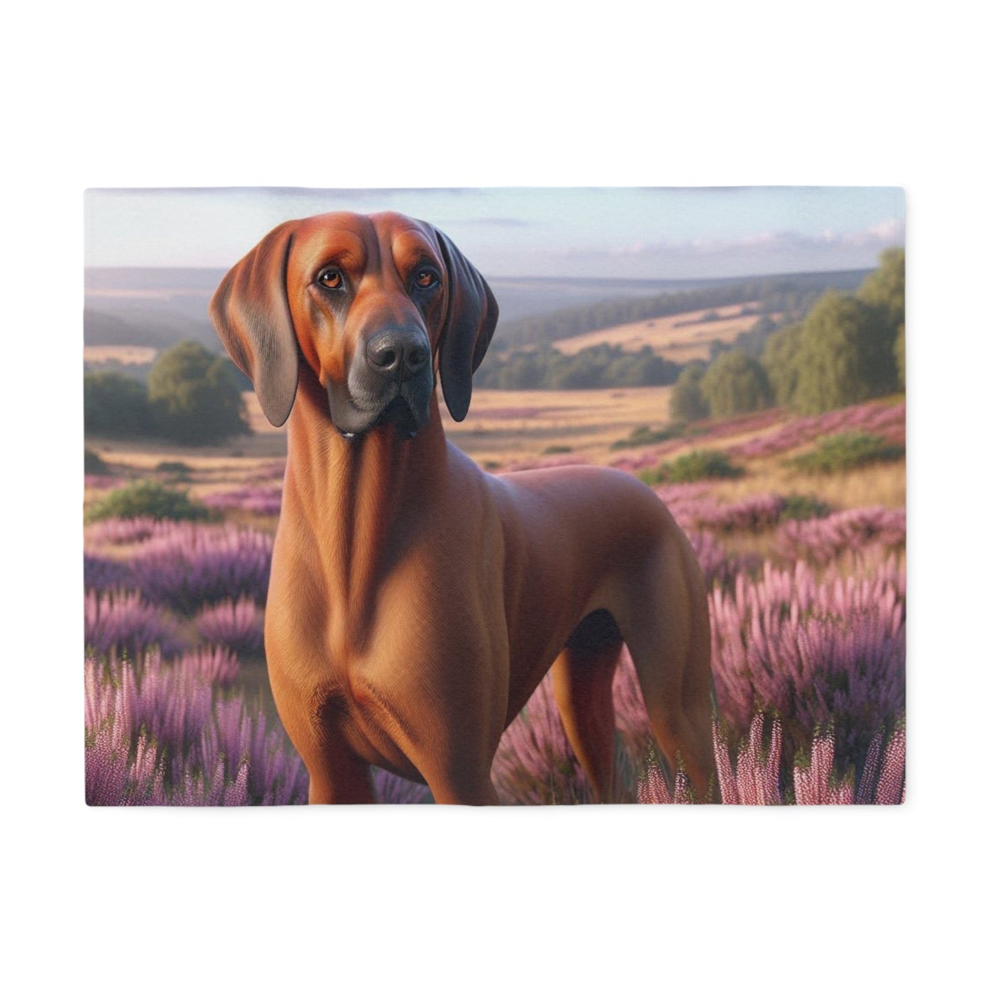 Hanoverian Scenthound Sweatshirt Blanket