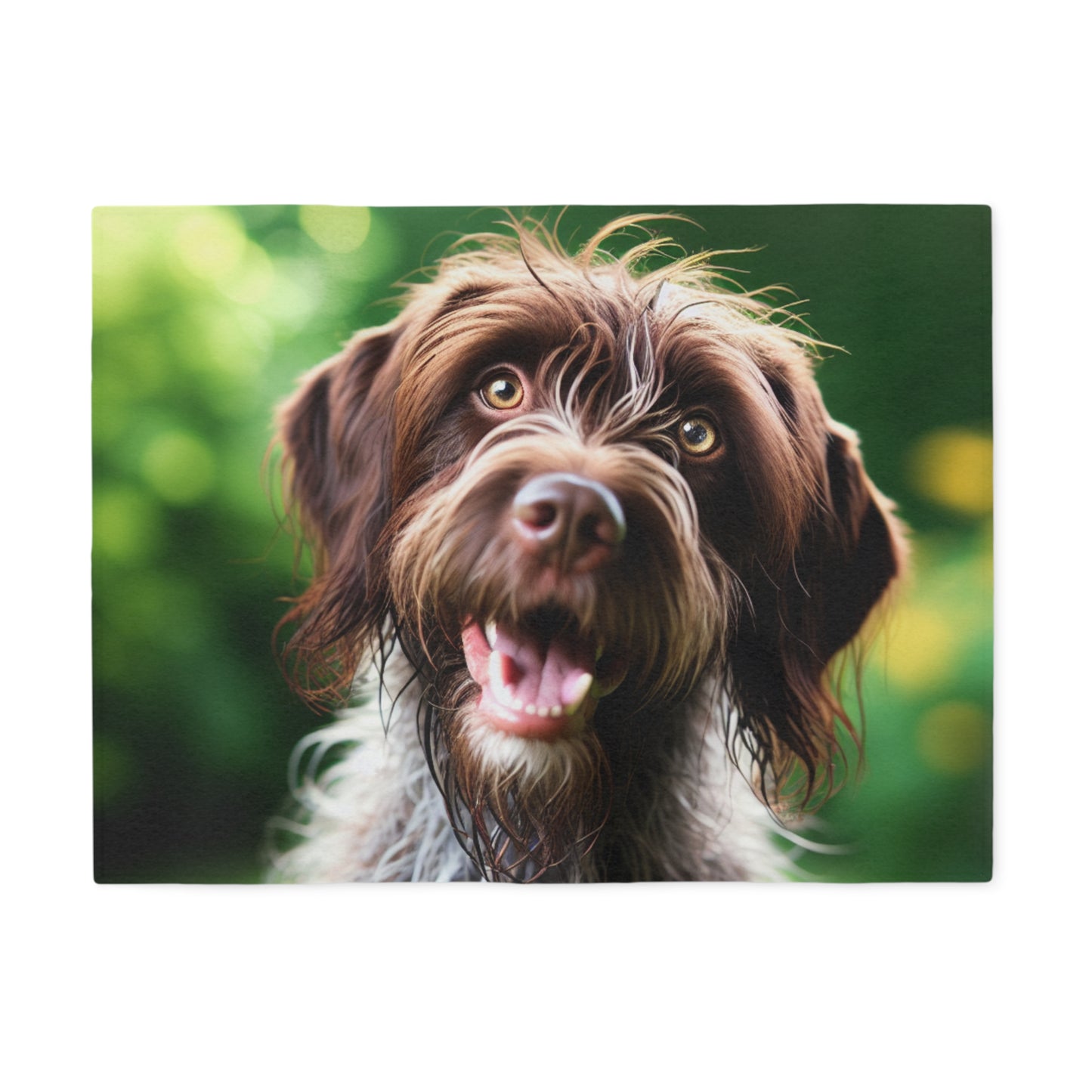 German Wirehaired Pointer Sweatshirt Blanket