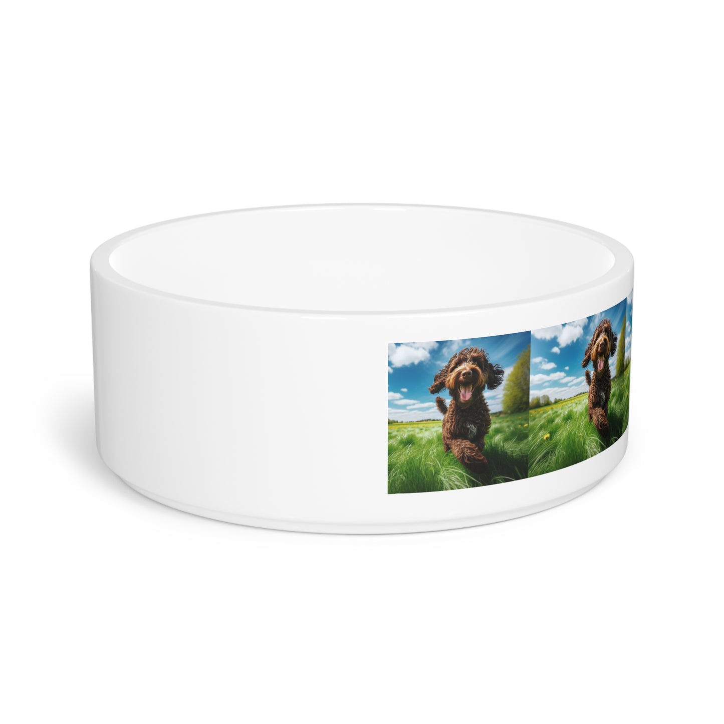 Wetterhoun Pet Bowl