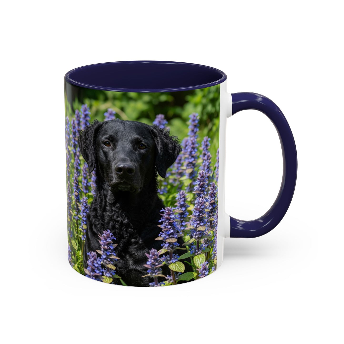 Curly Coated Retriever Accent Coffee Mug - Perfect Gift for Dog Lovers