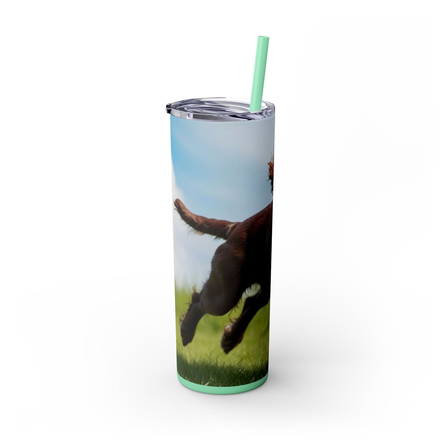 Irish Water Spaniel Tumbler with Straw, 20oz