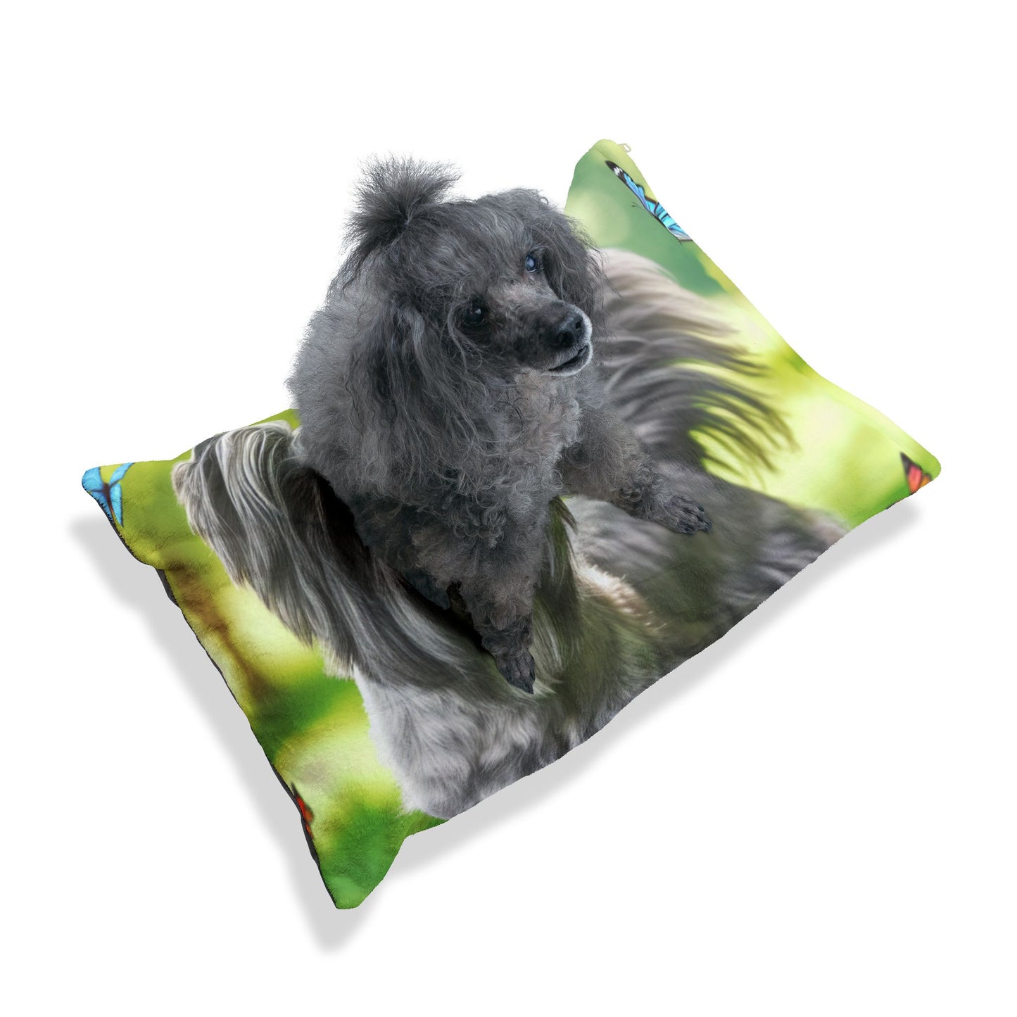Skye Terrier Pet Bed