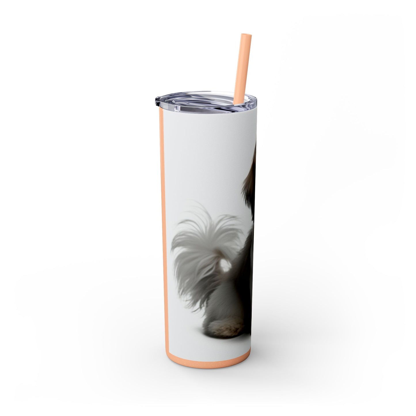Shihchon Tumbler with Straw, 20oz